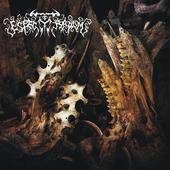 Espectrarum : Espectrarum - Live At 8vo. Festival de Rock